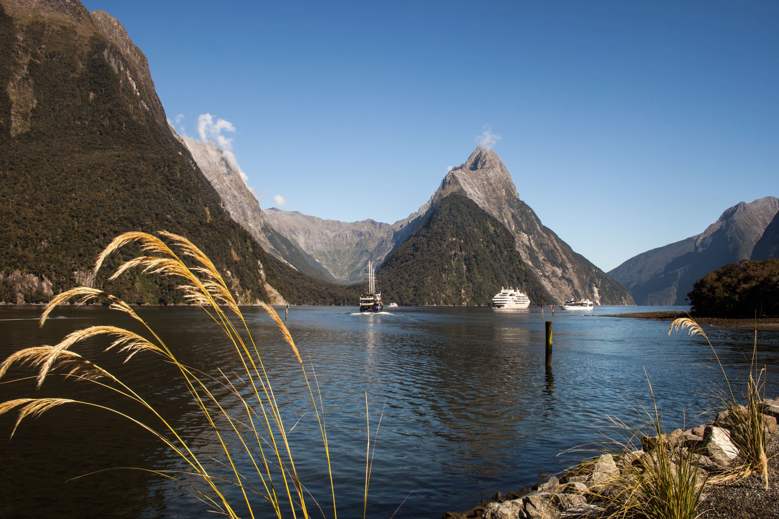Mitre Peak rising above the still waters of Milford Sound, framed by golden toetoe grass