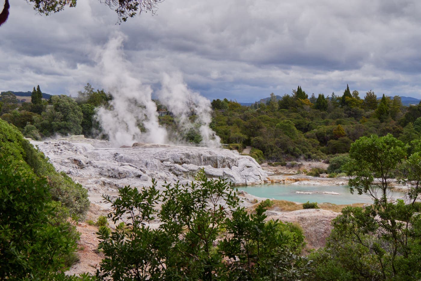 Steam rising from geothermal vents beside a turquoise pool at Whakarewarewa, Rotorua
