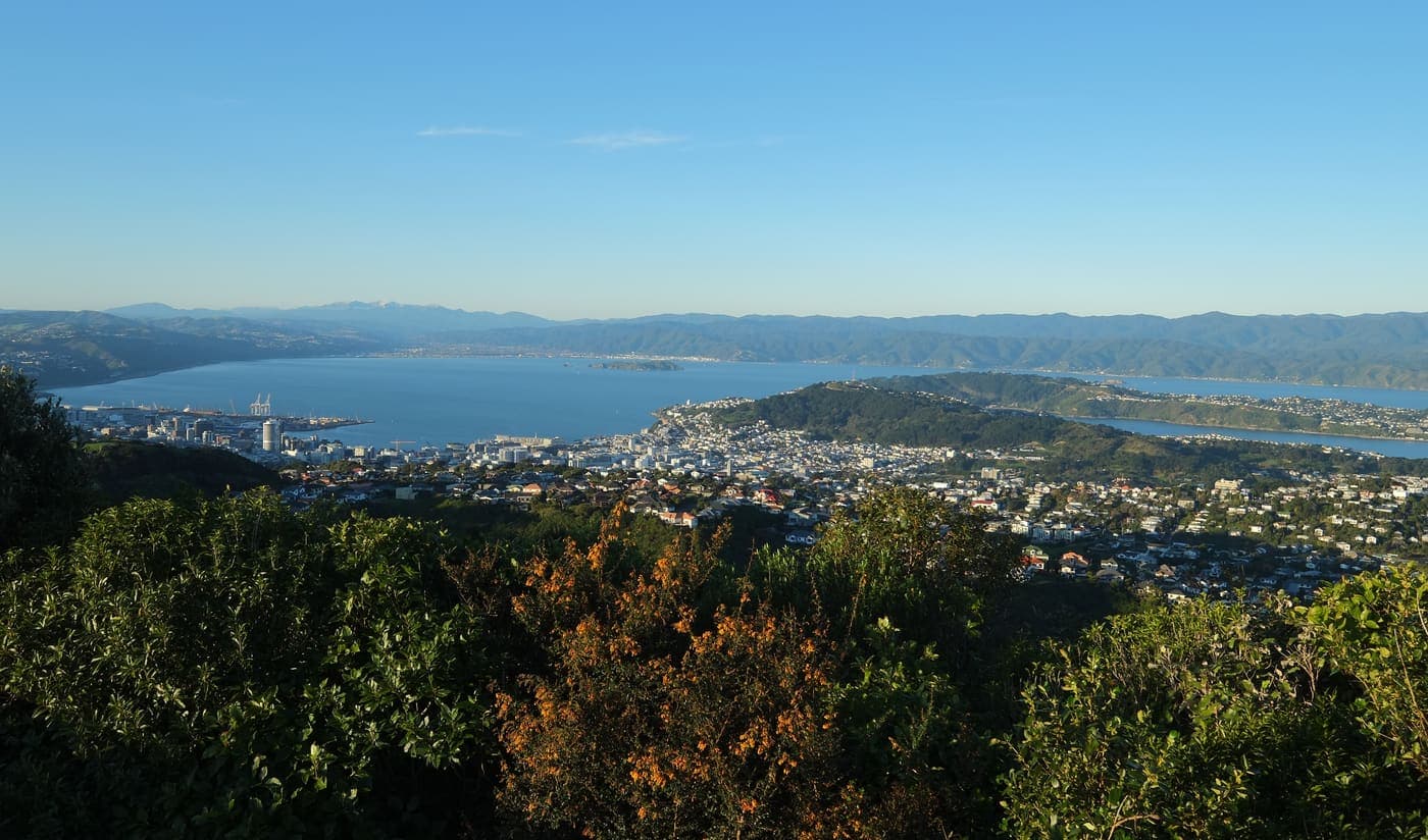 Wellington Harbour and the surrounding city seen from Brooklyn Hill
